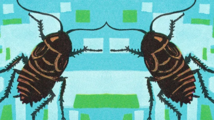 Cockroaches are resilient