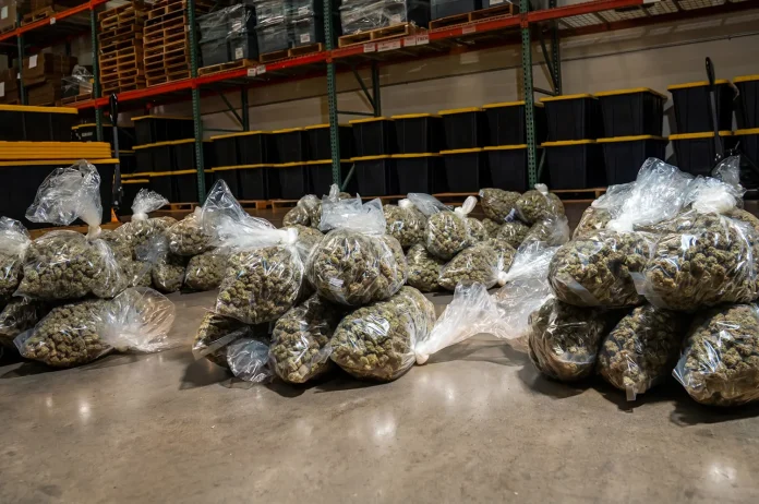 bulk CBD gummies wholesale 